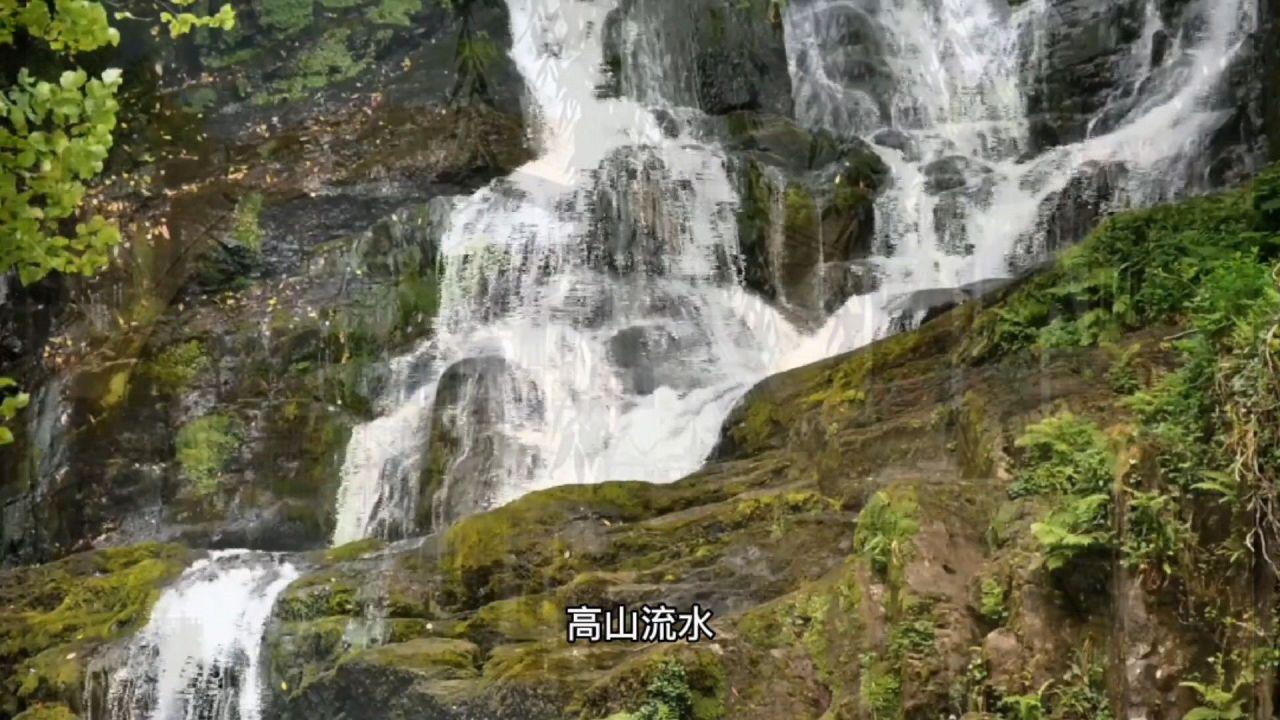 恶意投诉、辱骂110接警员和民警 一男子被行政拘留
